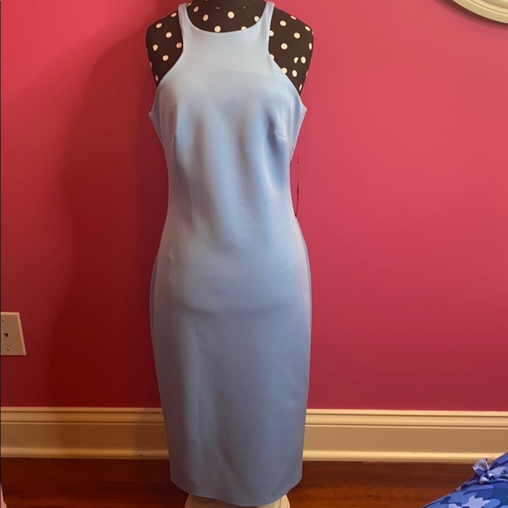 Badgley Mischka dress